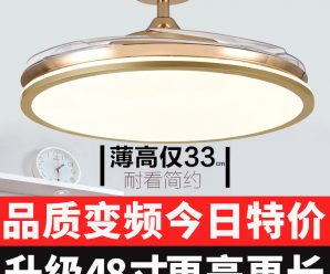 风扇灯吊扇灯 客厅餐厅北欧别墅新中式电风扇吊灯带灯吊扇家用